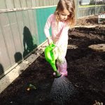 Childcare-Centre-Hamilton