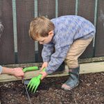 Early-Learning-Centre-Hamilton