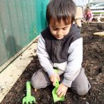 Kindergarten-Hamilton