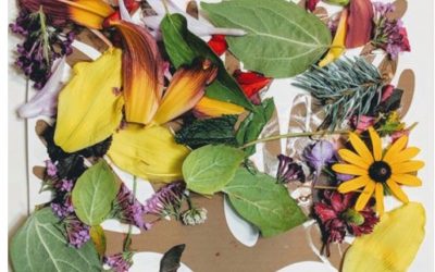 Creativity at garden