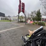 matariki-maori-new-year